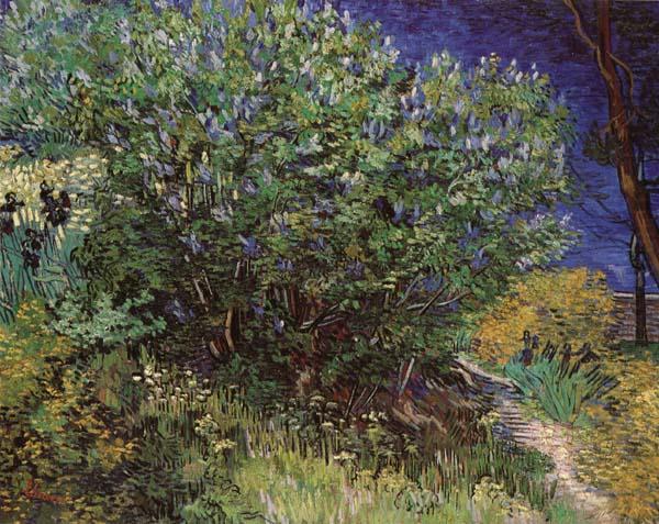 Bushes, Vincent Van Gogh